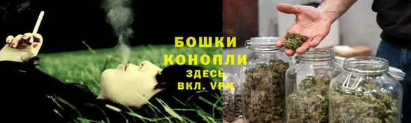 PSILOCYBIN Верхний Тагил